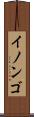 イノンゴ Scroll