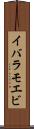 イバラモエビ Scroll