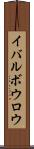 イバルボウロウ Scroll