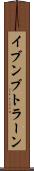 イブンブトラーン Scroll