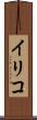 イリコ Scroll