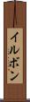 イルボン Scroll