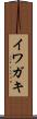 イワガキ Scroll