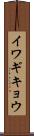 イワギキョウ Scroll
