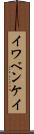 イワベンケイ Scroll