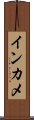 インカメ Scroll