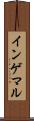 インゲマル Scroll
