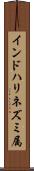 インドハリネズミ属 Scroll