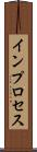 インプロセス Scroll