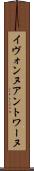 Yvonne Antoine Scroll