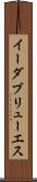 イーダブリューエス Scroll