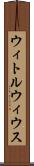 ウィトルウィウス Scroll