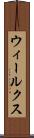 ウィールクス Scroll