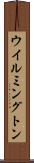 ウイルミングトン Scroll