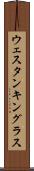 ウェスタンキングラス Scroll