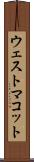 ウェストマコット Scroll