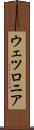 ウェツロニア Scroll