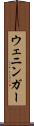 ウェニンガー Scroll