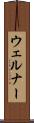 ウェルナー Scroll