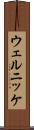 ウェルニッケ Scroll