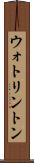 ウォトリントン Scroll