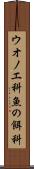 ウオノエ科 Scroll