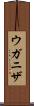 ウガニザ Scroll