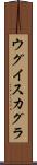 ウグイスカグラ Scroll