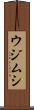 ウジムシ Scroll