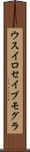 ウスイロセイブモグラ Scroll