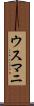 ウスマニ Scroll