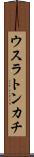 ウスラトンカチ Scroll