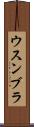 ウスンブラ Scroll