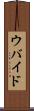 ウバイド Scroll