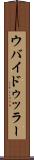 ウバイドゥッラー Scroll