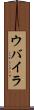 ウバイラ Scroll