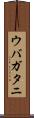 ウバガタニ Scroll