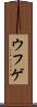ウフゲ Scroll