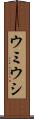 ウミウシ Scroll
