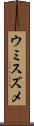 ウミスズメ Scroll