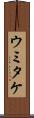 ウミタケ Scroll