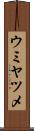 ウミヤツメ Scroll