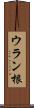 ウラン根 Scroll