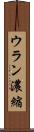 ウラン濃縮 Scroll