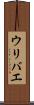 ウリバエ Scroll
