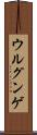 ウルグンゲ Scroll