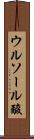 ウルソール酸 Scroll