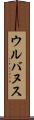 ウルバヌス Scroll