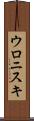 ウロニスキ Scroll