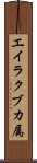 エイラクブカ属 Scroll
